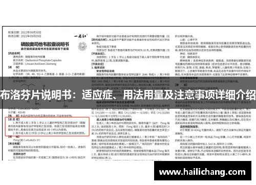布洛芬片说明书：适应症、用法用量及注意事项详细介绍