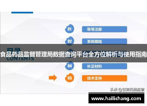 食品药品监督管理局数据查询平台全方位解析与使用指南